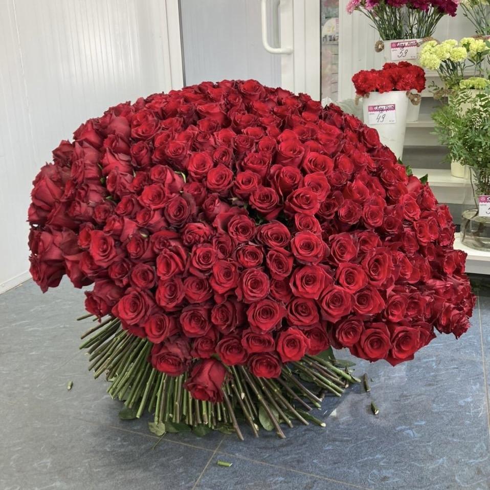 Букеты из красных роз 80 см (Эквадор) Артикул  33936k