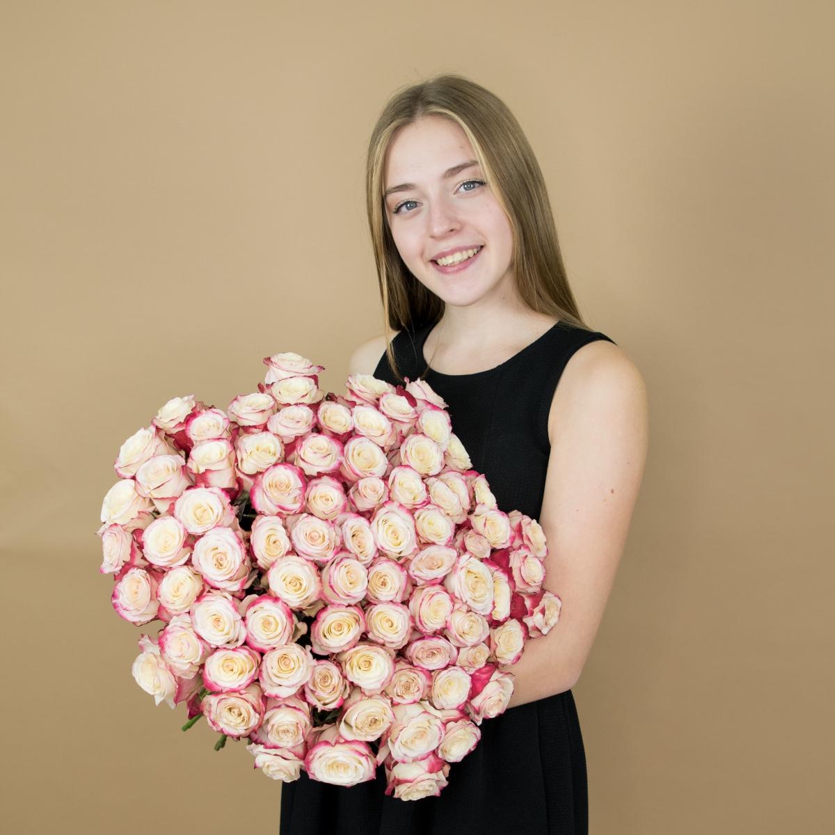 Розы красно-белые (40 см) Эквадор [артикул   84klg]
