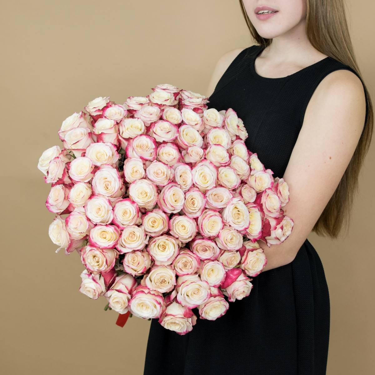 Розы красно-белые 101 шт. (40 см) код товара: 14952