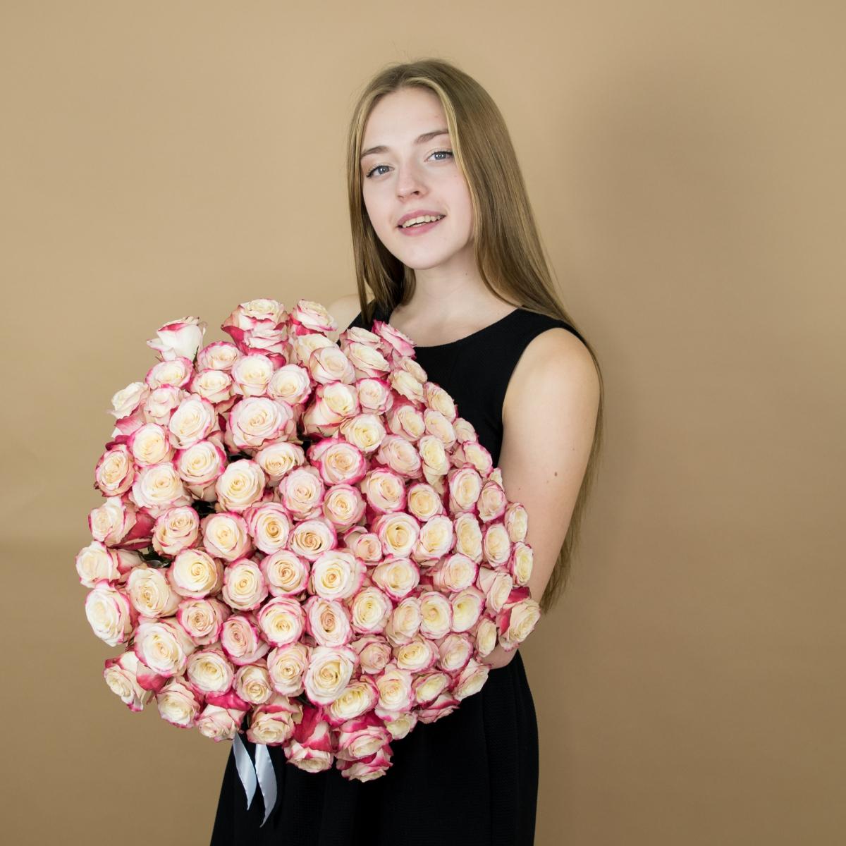 Розы красно-белые 101 шт. (40 см) код товара: 14952